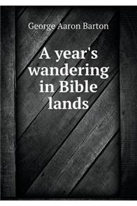 A Year's Wandering in Bible Lands