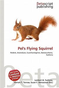 Pel's Flying Squirrel