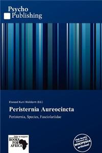 Peristernia Aureocincta