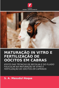 Maturação in Vitro E Fertilização de Oócitos Em Cabras