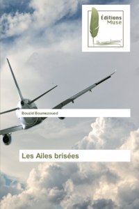 Les Ailes brisées