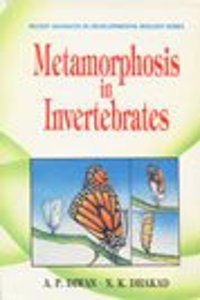 Metamorphosis in Invertebrates