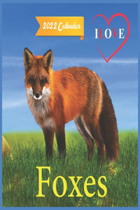 Ilove Foxes Calendar 2022