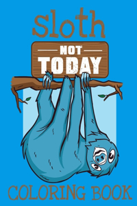 Sloth Coloring Book