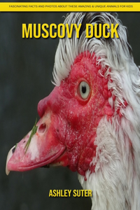 Muscovy Duck