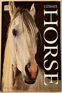 Ultimate Horse