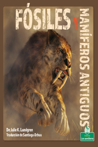 Fósiles Y Mamíferos Antiguos (Fossils and Ancient Mammals)