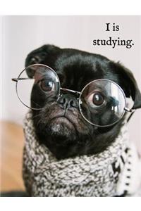 I is studying.