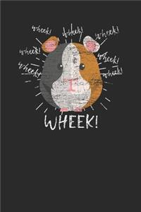 Wheek Guinea Pig