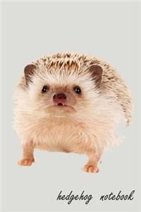 hedgehog notebook