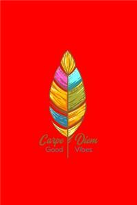 Carpe Diem Good Vibes