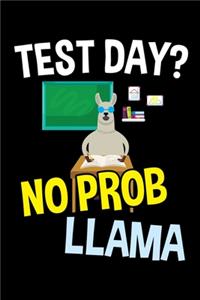 Test Day? No Prob Llama
