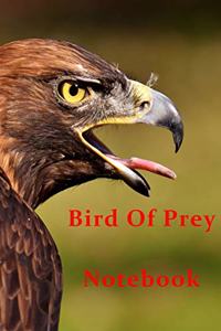 Bird Of Prey Notebook