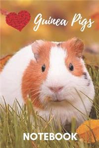 Guinea Pig Notebook
