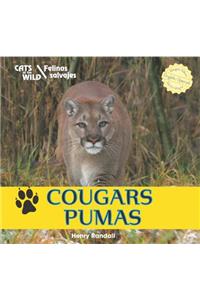 Cougars / Pumas