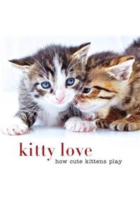 Kitty Love: How Cute Kittens Play