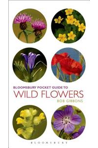 Pocket Guide To Wild Flowers