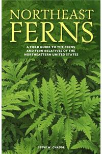 Northeast Ferns: A Field Guide to the Ferns and Fern Relatives of the Northeastern United States