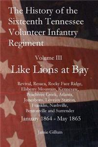 History of the Sixteenth Tennessee Volunteer Infantry Regiment: Like Lions at Bay