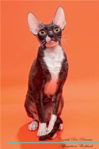 Cornish Rex Affirmations Workbook Cornish Rex Presents