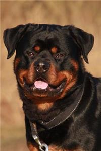 The Rottweiler Dog Journal