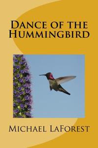 Dance of the Hummingbird