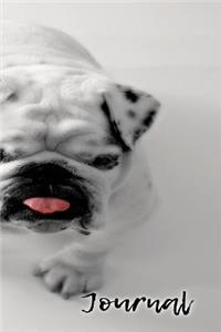 Journal