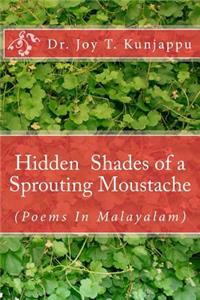 Hidden Shades of a Sprouting Moustache