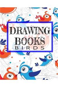 Drawing Books Birds