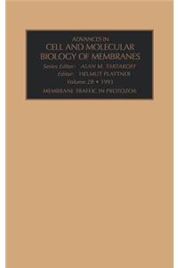 Membrane Traffic in Protozoa, Part a