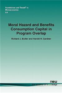 Moral Hazard and Benefits Consumption Capital in Program Overlap