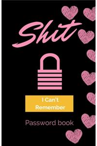 Shit I Can't Remember