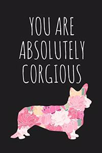 You Are Absolutely Corgious