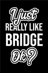 I Just Really Like Bridge Ok?
