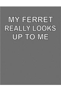 My Ferret Really Looks Up To Me