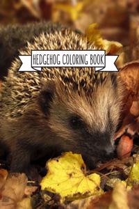 Hedgehog Coloring Book