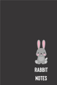 rabbit notes