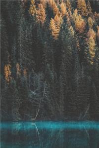 My Nature Journal