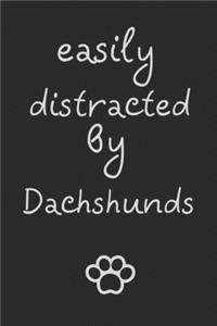 Easily distracted by dachshunds