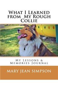 What I Learned from My Rough Collie