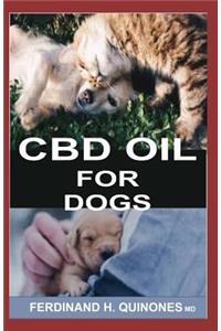 CBD Oil for Dogs