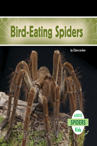 Bird-Eating Spiders