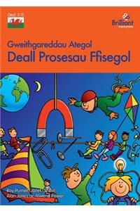 Deall Prosesau Ffisegol