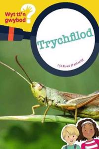 Cyfres Wyt Ti'n Gwybod?: Trychfilod