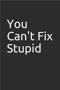 You Can't Fix Stupid