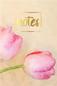 Notes
