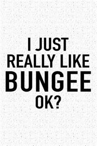 I Just Really Like Bungee Ok?