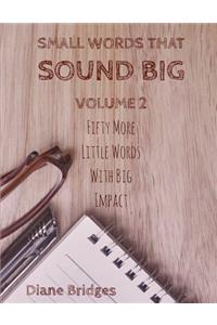 Small Words That Sound Big, Volume 2