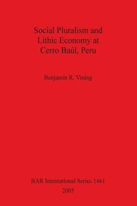 Social Pluralism and Lithic Economy at Cerro Baúl, Peru