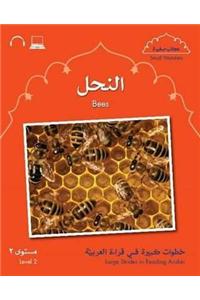 Small Wonders: Bees